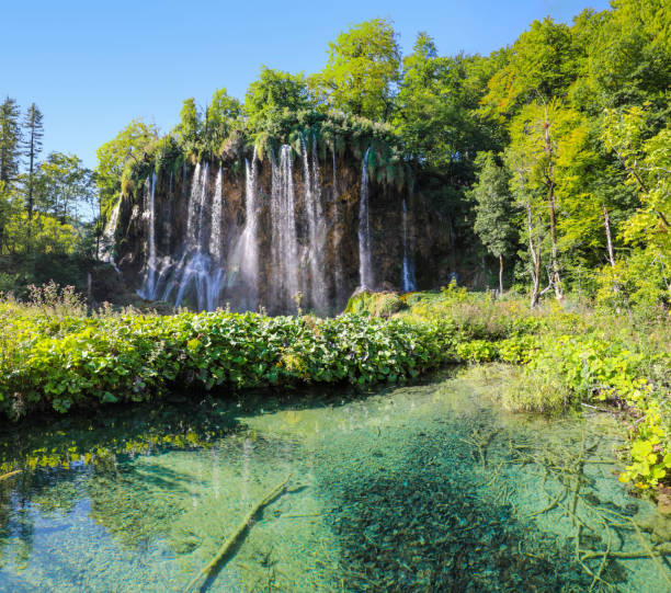 istock Valiki Slap waterfall in Plitvice Lakes National Park 1356058876