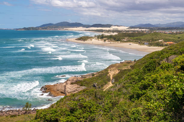 istock Trail to the beach with vegetation, rocks and mountain 1356060218