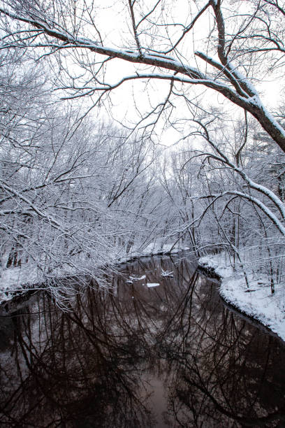 strumień biegnący przez las wisconsin w listopadzie - winter stream river snowing zdjęcia i obrazy z banku zdjęć