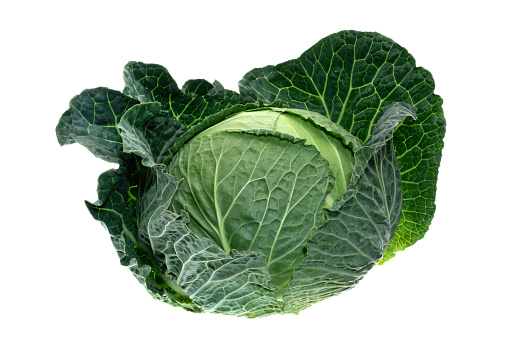 Fresh green cabbage - white background