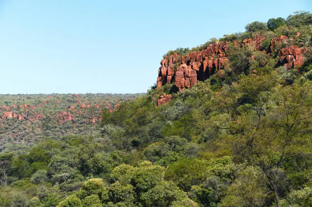 The wonderful  Waterberg Plateau in Namibia rises two hundred meters from the surrounding plains.