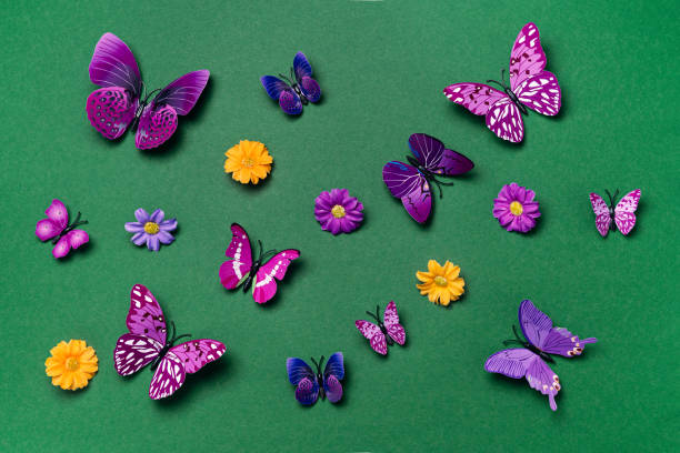 istock Vivid violet butterflies on green background 1356065501