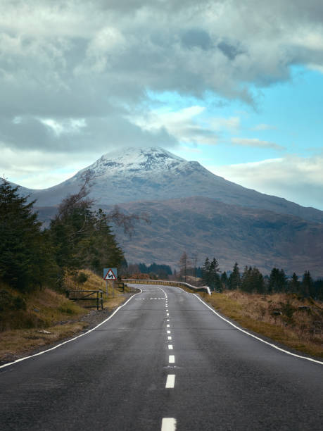 istock Mountain road stretching into the distance at autumn 1356067390