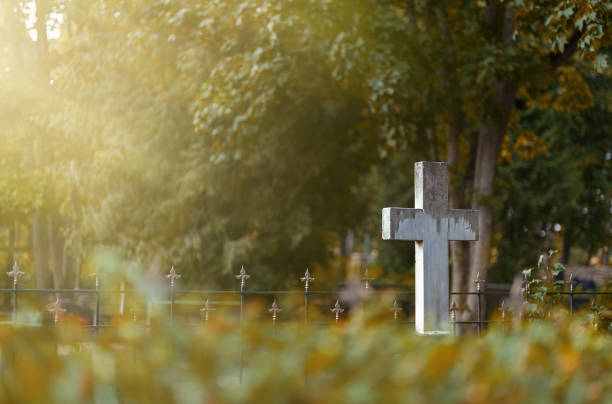 istock Old forgotten grave in the forest cemetery. 1356068860