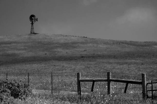 istock Rural California 1356069960