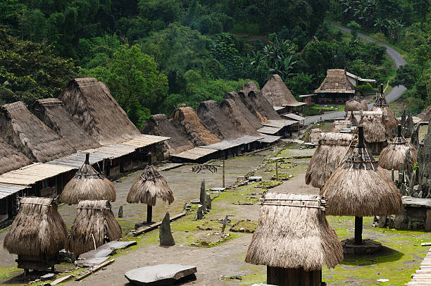 istock Ethnic village in Indonesia 135607248