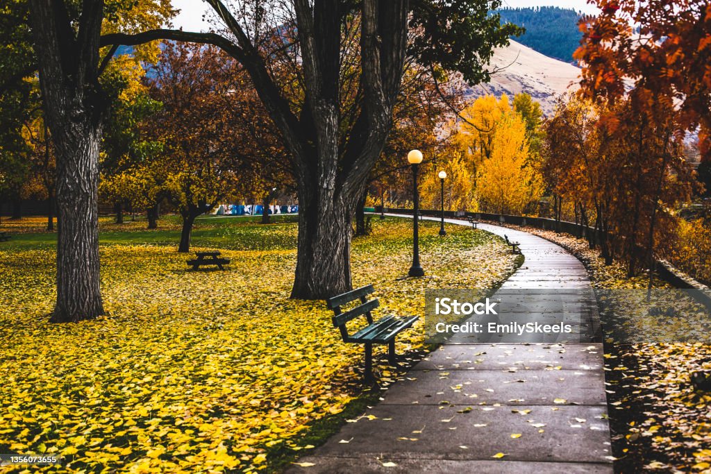 Autumn Walkway Walkway through a leaf-covered park during Autumn Missoula Stock Photo