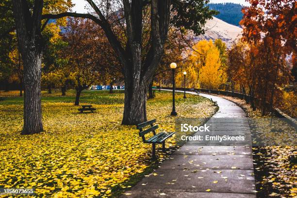 Autumn Walkway Stock Photo - Download Image Now - Missoula, Autumn Leaf Color, Leaf