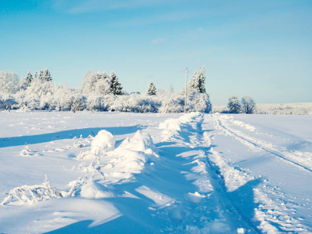istock snowy winter forest road background 1356075235