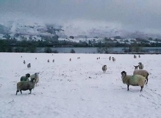 istock Ullswater on a snowy day 1356077326