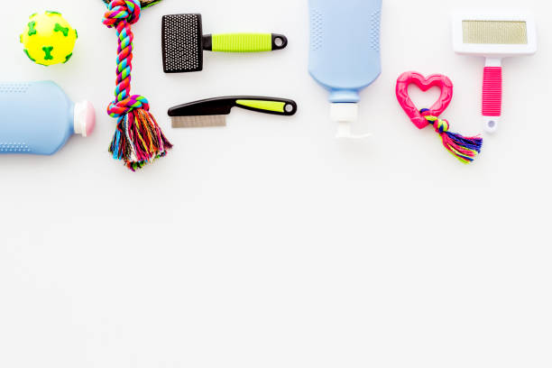 istock Pet accessories and grooming tools set with toys, top view 1356078631