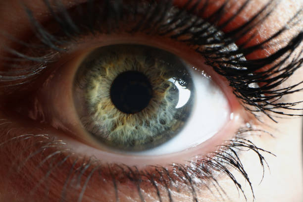 istock Beautiful green woman single eye with mascara makeup 1356078802