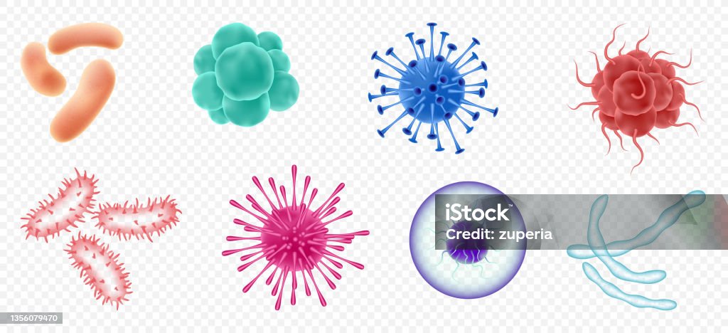 Virus, gérmenes y bacterias, tipos de microorganismos. Enfermedad o enfermedad de las células microscópicas - arte vectorial de Bacteria libre de derechos Virus, gérmenes y bacterias, tipos de microorganismos. Enfermedad o enfermedad de las células microscópicas - arte vectorial de Bacteria libre de derechos