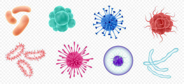 stockillustraties, clipart, cartoons en iconen met viruses, germs and bacteria, microorganism types. illness or disease microscopic cells - bacterie