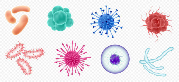 Viruses, germs and bacteria, microorganism types. Illness or disease microscopic cells Viruses, germs and bacteria, microorganism types. Illness or disease microscopic cells and infection, microbes and antibodies. Dangerous pathogen, microbiology. Realistic 3d vector illustration human cell illustrations stock illustrations
