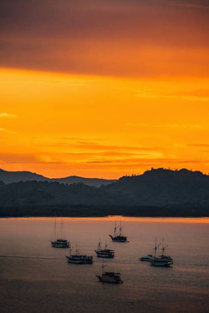 istock Group of boats resting in bay area 1356083258
