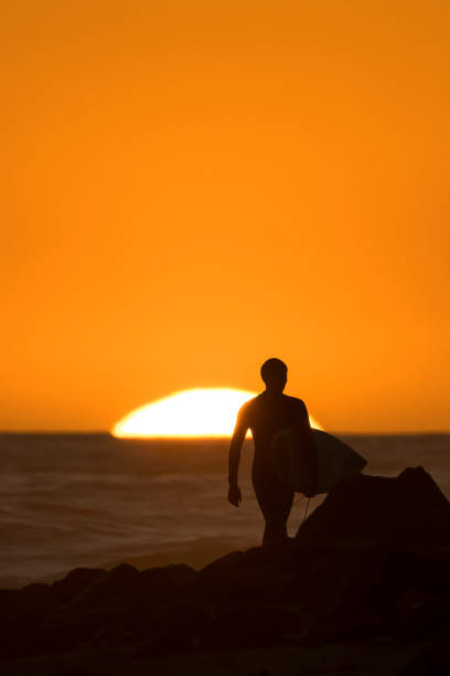 istock A surfer walking along the sand at sunset at Rincon beach. 1356086484