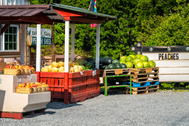 Tennessee mountain town with fruit stand on highway us-19e road in summer for South Carolina Peaches Davis Girls Peach Shed and Market Roan Mountain, USA - June 23, 2021: Tennessee mountain town with fruit stand on highway us-19e road in summer for South Carolina Peaches Davis Girls Peach Shed and Market tennessee road sign stock pictures, royalty-free photos & images
