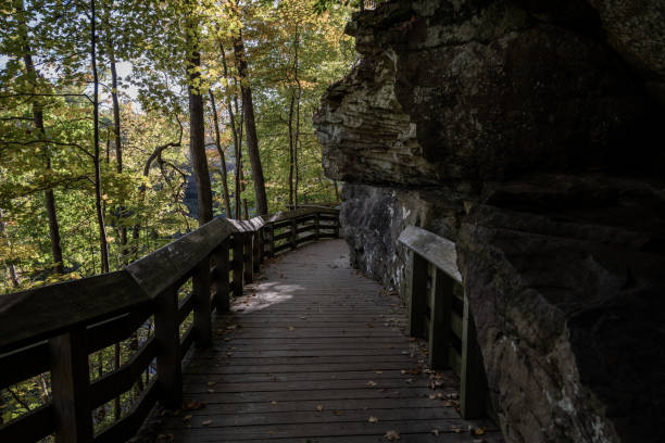 istock Rock Wall and Walkway to Brandywine Falls 1356087961