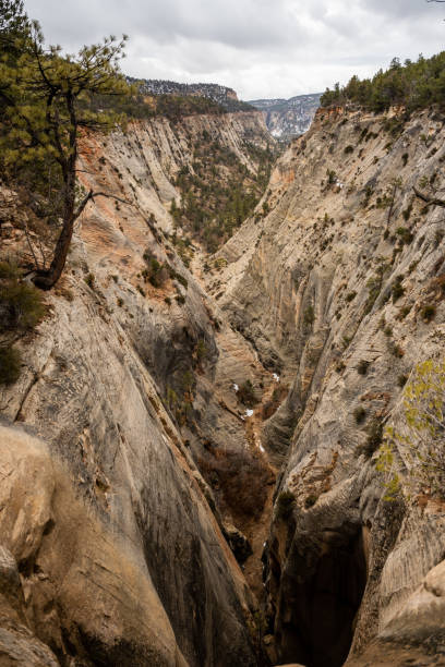 istock View of Jolley Gulch from Overlook 1356088843
