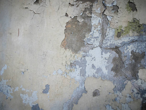 istock Abstract concrete background. Monochrome textured gray and white background 1356091690
