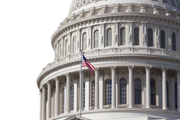 congress l building is isolated on white. - washington dc architecture nobody american flag imagens e fotografias de stock
