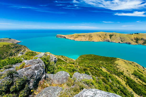 뱅크스 페닌슐라, 뉴질랜드 - akaroa banks peninsula bay sea 뉴스 사진 이미지