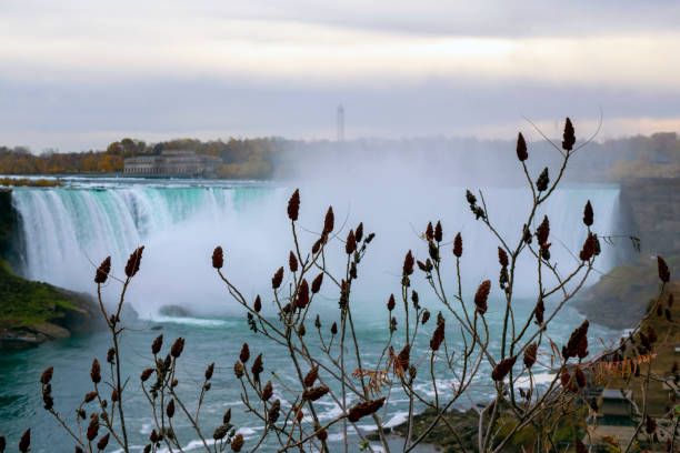 istock Niagara Falls Autumn Landscape 1356093502