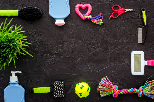 istock Grooming tools and pet accessories with toys, top view 1356094230