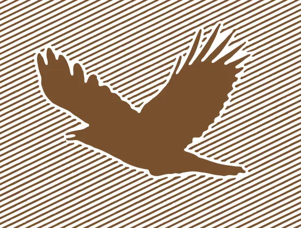 Vector illustration of Crow flying