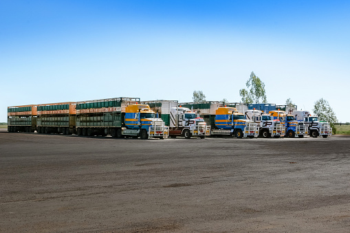 Julia Creek, Queensland, Australia - Aug 02, 2007: Road Trains (large trucks) for transporting livestock parked at a siding at Julia Creek in outback Queensland.