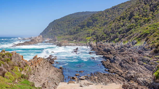 istock Tsitsikamma National Park Coast 1356109397
