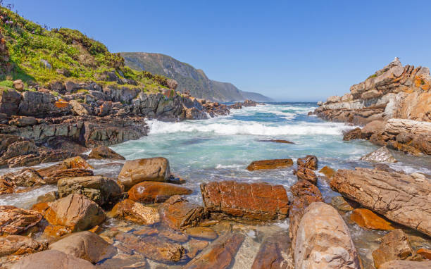 istock Tsitsikamma National Park Coast 1356109398