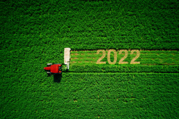トラクターは緑のフィールドを刈る。2022年の農業の新年の概念 - cut grass ストックフォトと画像