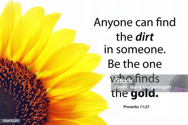 Half Sunflower Petals Background On White With Positive Message Anyone Can Find The Dirt In Someone Be The One Who Finds The Gold Stock Photo - Download Image Now