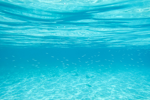 Underwater with sandy bottom