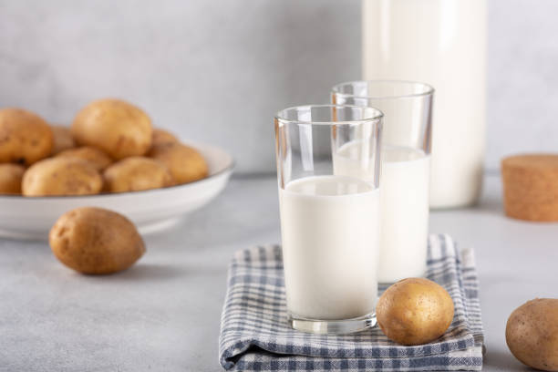 Vegan friendly potato milk in glasses on gray table. Alternative plant based milk and potato tubers stock photo