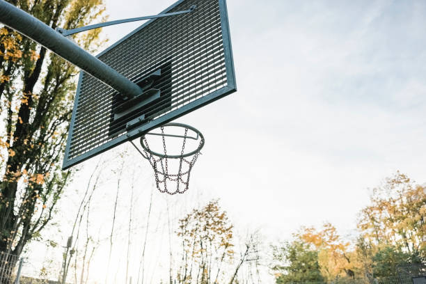 worn out basketball hoop in the woodland against leafs and blue sky background