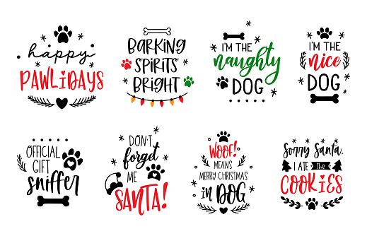 Christmas dog saying set. Funny Santa paws quotes. Xmas holidays pet or cat sign. Winter furry card.Vector illustration isolated on white background.