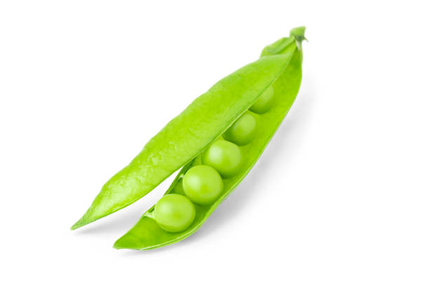 offene schote aus grünen erbsenbohnen mit schatten auf weißem hintergrund. frische süße hülsenfrüchte isoliert. - green pea pea pod sweet food freshness stock-fotos und bilder