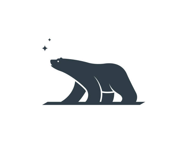 minimal bear logo - eisbär stock-grafiken, -clipart, -cartoons und -symbole