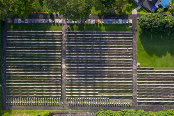 istock Top down view of Chinese Cemetery 1356129166
