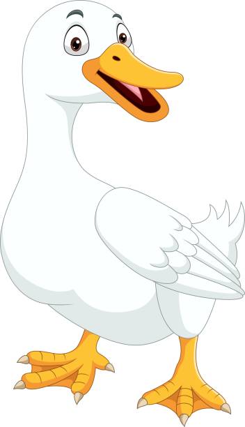 illustrations, cliparts, dessins animés et icônes de canard de dessin animé isolé sur fond blanc - 11705