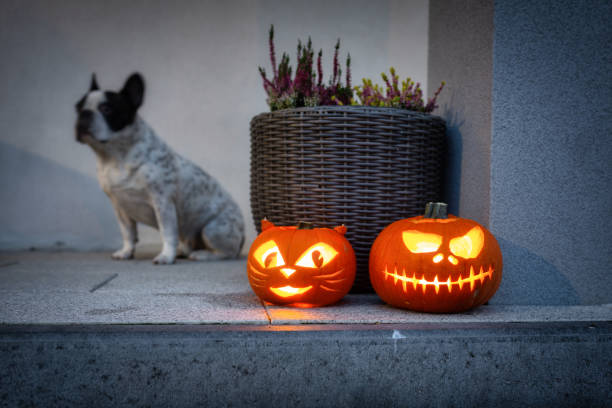 istock Scary Halloween pumpkins as decoration 1356131162