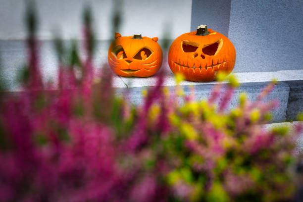Scary Halloween pumpkins as decoration Scary Halloween pumpkins as decoration on the front steps entrence stock pictures, royalty-free photos & images