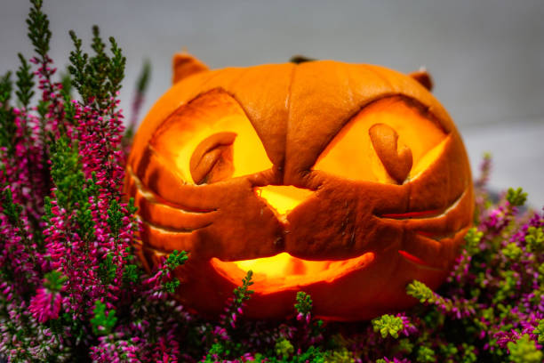 Scary Halloween pumpkins as decoration Scary Halloween pumpkins as decoration in the heathers pot entrence stock pictures, royalty-free photos & images