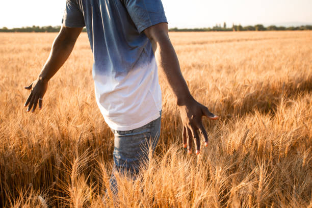 istock Full Length Of Man Standing On Field 1356131515