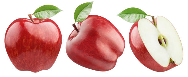 istock Collection of delicious red apples on white 1356132487