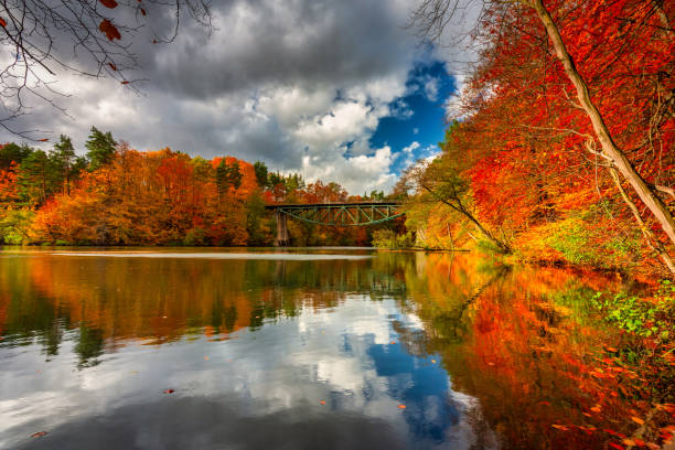 istock Autumnal scenery and the railway bridge in Rutki 1356132551