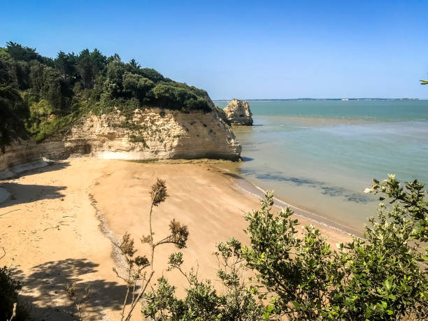 istock Beach and cliffs of Saint Georges De Didonne 1356132674